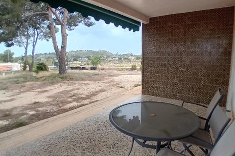 Landejendom i Elche, Alicante, Elche - € 390.000 | Ref: 1RE1089 - foto 18