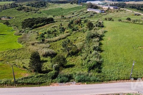 Helårsgrund i Cadaval, Lisbon, Cadaval - € 39.900 | Ref: 912177 - foto 7