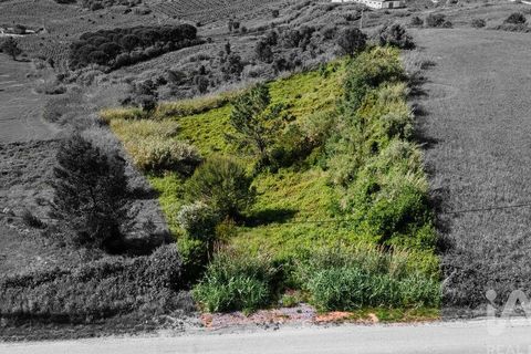 Helårsgrund i Cadaval, Lisbon, Cadaval - € 39.900 | Ref: 912177 - foto 8