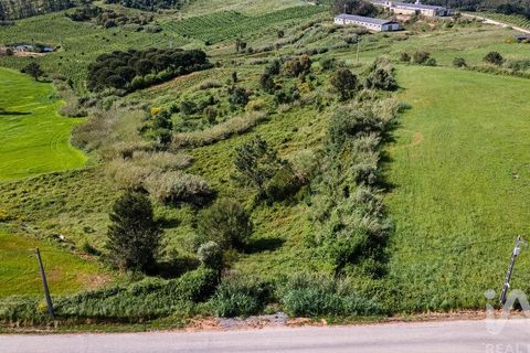 Helårsgrund i Cadaval, Lisbon, Cadaval - € 39.900 | Ref: 912177 - foto 9