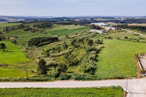 Helårsgrund i Cadaval, Lisbon, Cadaval - € 39.900 | Ref: 912177 - foto 10