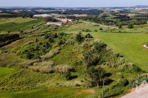 Helårsgrund i Cadaval, Lisbon, Cadaval - € 39.900 | Ref: 912177 - foto 12
