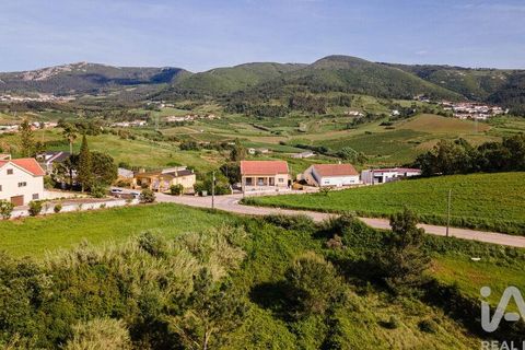 Helårsgrund i Cadaval, Lisbon, Cadaval - € 39.900 | Ref: 912177 - foto 15