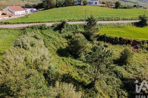 Helårsgrund i Cadaval, Lisbon, Cadaval - € 39.900 | Ref: 912177 - foto 19