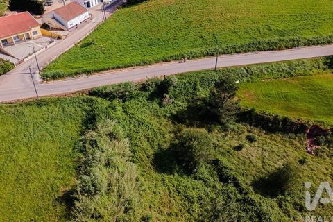 Helårsgrund i Cadaval, Lisbon, Cadaval - € 39.900 | Ref: 912177 - foto 20