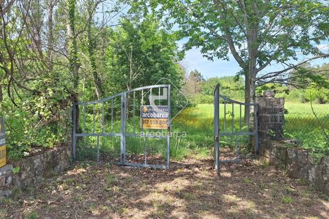 Tomt i Ponte de Lima, Viana do Castelo, Ponte de Lima - € 80 000 | Ref: AV6155 - foto 3