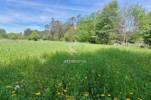 Tomt i Ponte de Lima, Viana do Castelo, Ponte de Lima - € 80 000 | Ref: AV6155 - foto 6
