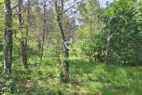 Tomt i Ponte de Lima, Viana do Castelo, Ponte de Lima - € 80 000 | Ref: AV6155 - foto 9