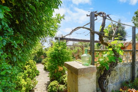 Landejendom i Campos, Mallorca, Campos - € 780.000 | Ref: 5418176 - LF0878 - foto 13