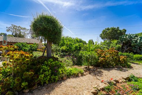 Landejendom i Campos, Mallorca, Campos - € 780.000 | Ref: 5418176 - LF0878 - foto 34