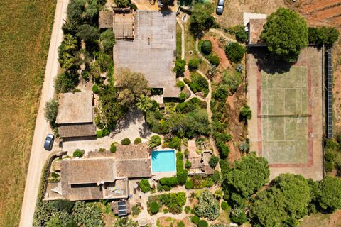 Landejendom i Campos, Mallorca, Campos - € 780.000 | Ref: 5418176 - LF0878 - foto 36