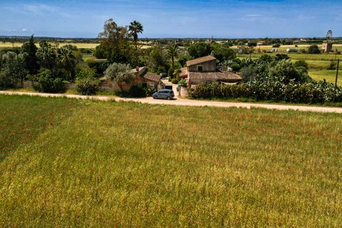 Landejendom i Campos, Mallorca, Campos - € 780.000 | Ref: 5418176 - LF0878 - foto 38