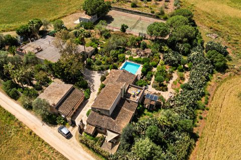 Landejendom i Campos, Mallorca, Campos - € 780.000 | Ref: 5418176 - LF0878 - foto 39