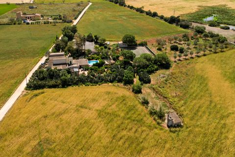 Landejendom i Campos, Mallorca, Campos - € 780.000 | Ref: 5418176 - LF0878 - foto 40