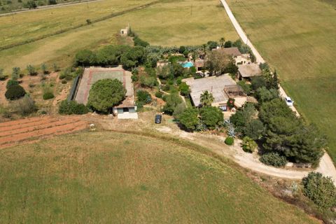 Landejendom i Campos, Mallorca, Campos - € 780.000 | Ref: 5418176 - LF0878 - foto 42