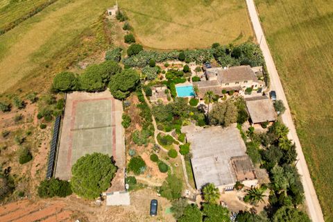 Landejendom i Campos, Mallorca, Campos - € 780.000 | Ref: 5418176 - LF0878 - foto 44