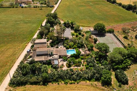 Landejendom i Campos, Mallorca, Campos - € 780.000 | Ref: 5418176 - LF0878 - foto 45