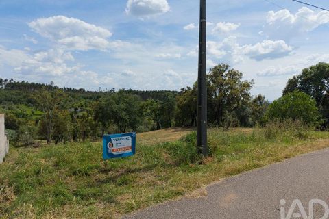 Helårsgrund i Tomar, Santarem, Tomar - € 42.000 | Ref: 908390 - foto 3