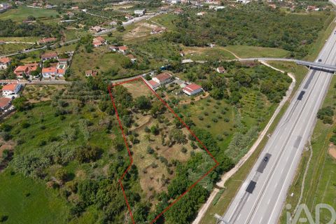 Helårsgrund i Tomar, Santarem, Tomar - € 42.000 | Ref: 908390 - foto 6