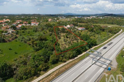 Helårsgrund i Tomar, Santarem, Tomar - € 42.000 | Ref: 908390 - foto 9