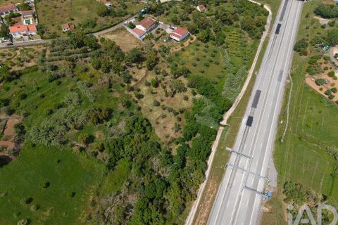Helårsgrund i Tomar, Santarem, Tomar - € 42.000 | Ref: 908390 - foto 12