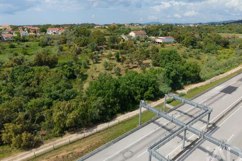 Helårsgrund i Tomar, Santarem, Tomar - € 42.000 | Ref: 908390 - foto 13