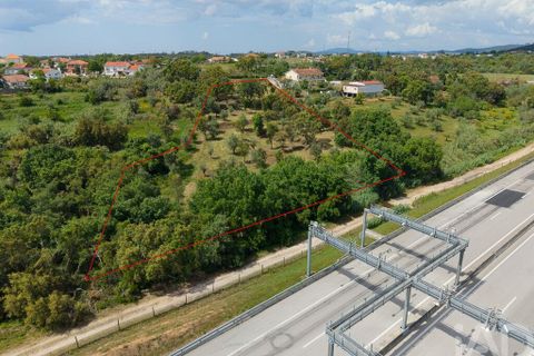 Helårsgrund i Tomar, Santarem, Tomar - € 42.000 | Ref: 908390 - foto 14