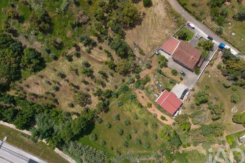 Helårsgrund i Tomar, Santarem, Tomar - € 42.000 | Ref: 908390 - foto 16