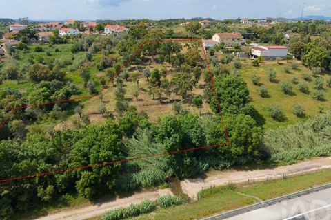 Helårsgrund i Tomar, Santarem, Tomar - € 42.000 | Ref: 908390 - foto 17