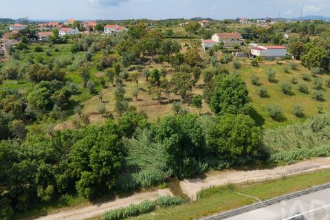 Helårsgrund i Tomar, Santarem, Tomar - € 42.000 | Ref: 908390 - foto 18