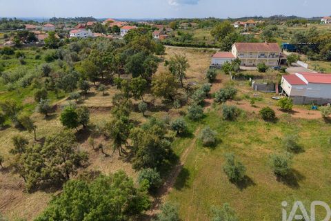 Helårsgrund i Tomar, Santarem, Tomar - € 42.000 | Ref: 908390 - foto 20