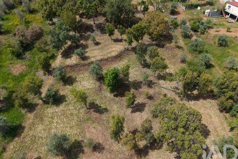 Helårsgrund i Tomar, Santarem, Tomar - € 42.000 | Ref: 908390 - foto 21