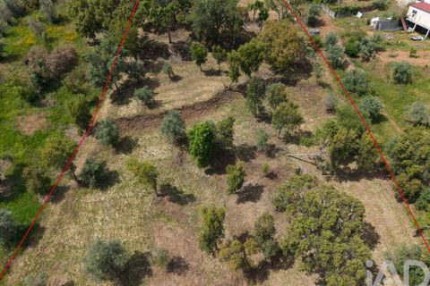 Helårsgrund i Tomar, Santarem, Tomar - € 42.000 | Ref: 908390 - foto 22