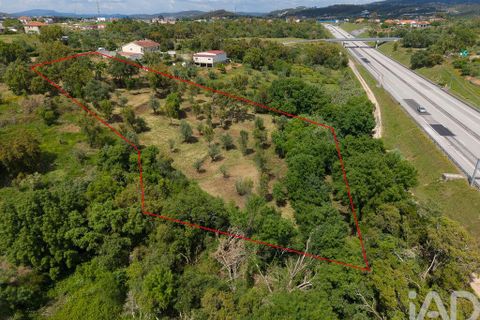 Helårsgrund i Tomar, Santarem, Tomar - € 42.000 | Ref: 908390 - foto 24