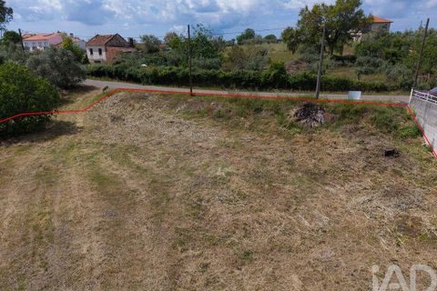 Helårsgrund i Tomar, Santarem, Tomar - € 42.000 | Ref: 908390 - foto 25