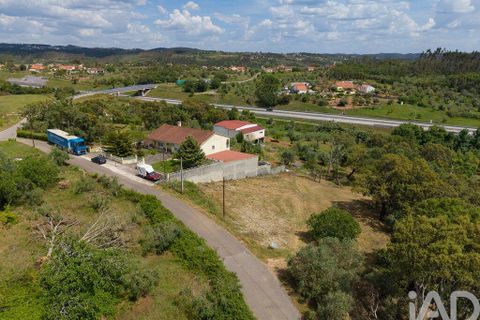 Helårsgrund i Tomar, Santarem, Tomar - € 42.000 | Ref: 908390 - foto 28