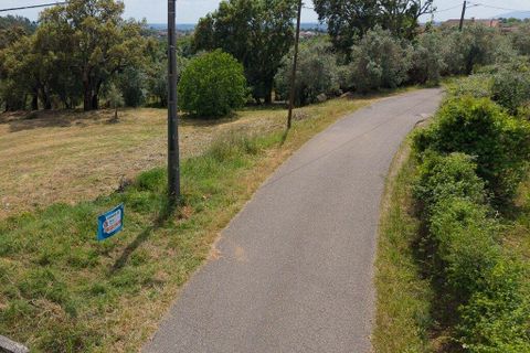 Helårsgrund i Tomar, Santarem, Tomar - € 42.000 | Ref: 908390 - foto 33