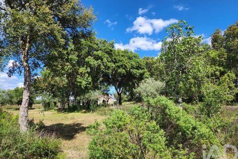 Byhus i Castelo Branco, Castelo Branco, Castelo Branco - € 159.000 | Ref: 911847 - foto 30