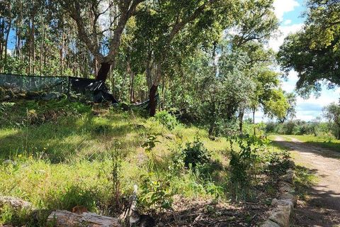 Byhus i Castelo Branco, Castelo Branco, Castelo Branco - € 159.000 | Ref: 911847 - foto 34