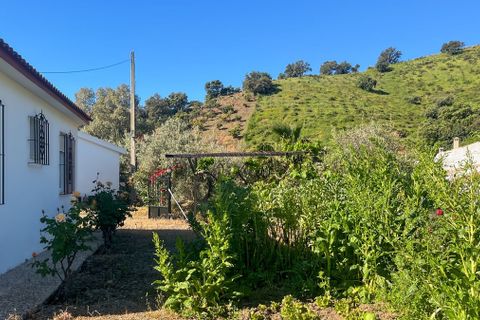 Cortijo i Comares, Malaga, Comares - € 295.000 | Ref: R5373847 - foto 10