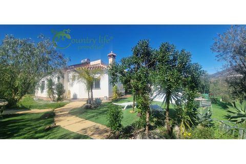 Villa i Arenas De Velez, Malaga, Arenas De Velez - € 339.000 | Ref: ARE003 - foto 23