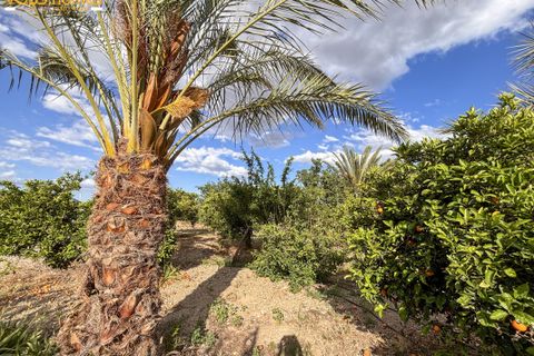 Landejendom i Huercal-Overa, Almeria, Huercal-Overa - € 139.950 | Ref: VH2752 - foto 30