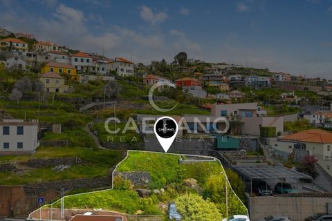 Helårsgrund i Ribeira Brava, Madeira, Ribeira Brava - € 140.000 | Ref: 3278 - foto 5