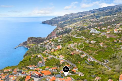 Helårsgrund i Ribeira Brava, Madeira, Ribeira Brava - € 140.000 | Ref: 3278 - foto 16