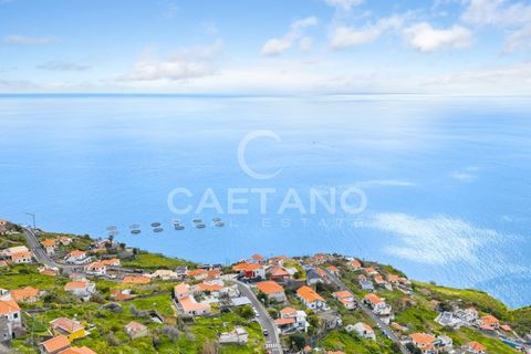 Helårsgrund i Ribeira Brava, Madeira, Ribeira Brava - € 140.000 | Ref: 3278 - foto 17