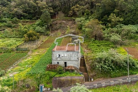 Villa a Santana, Madeira, Santana - € 250.000 | Ref: 12077-FS - foto 3