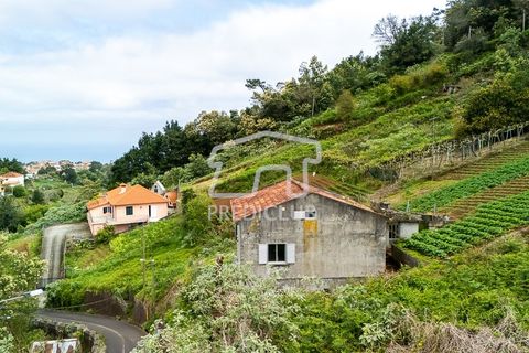 Villa a Santana, Madeira, Santana - € 250.000 | Ref: 12077-FS - foto 5