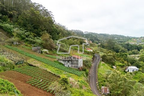 Villa a Santana, Madeira, Santana - € 250.000 | Ref: 12077-FS - foto 6