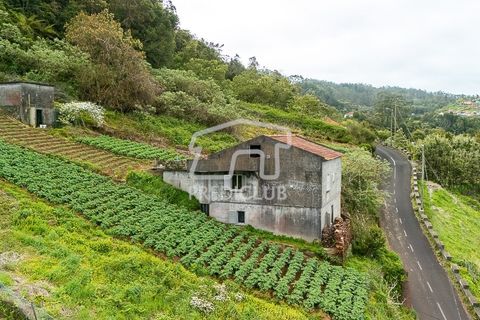 Villa a Santana, Madeira, Santana - € 250.000 | Ref: 12077-FS - foto 7