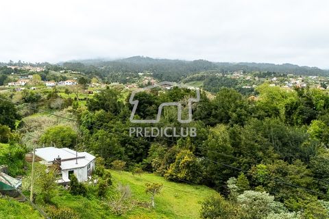 Villa a Santana, Madeira, Santana - € 250.000 | Ref: 12077-FS - foto 10